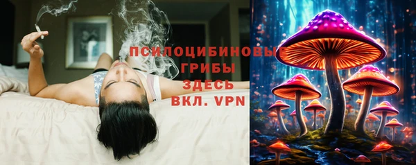 СК Беломорск