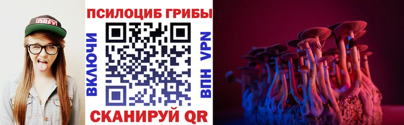 Галлюциногенные грибы Cubensis Горно-Алтайск